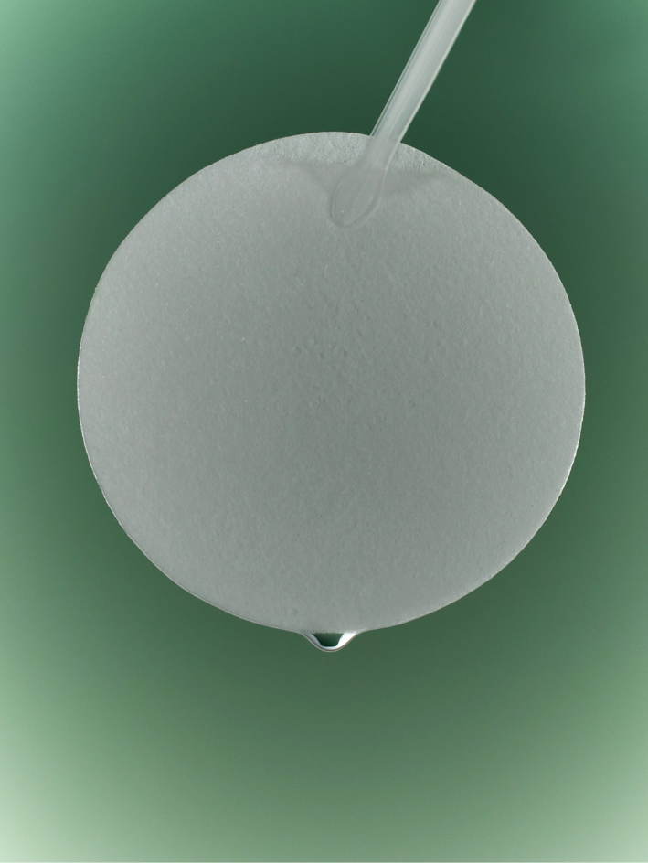 The Lab Green Flavonoid™ 2.5 Pad 120g (90p)